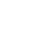 Optic Icon